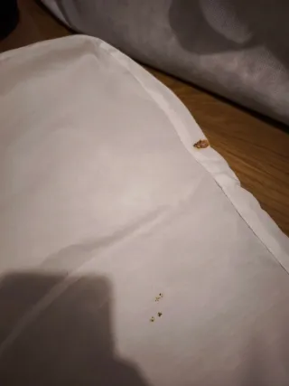 Cuna Colecho Chicco Next2Me Essential