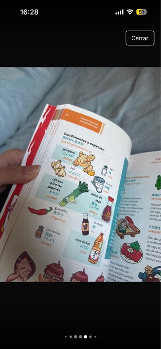 SUGOI. JAPONÉS PARA VIAJEROS