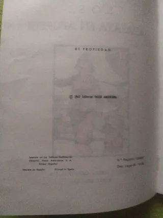 S.O.S. Azafata en apuros