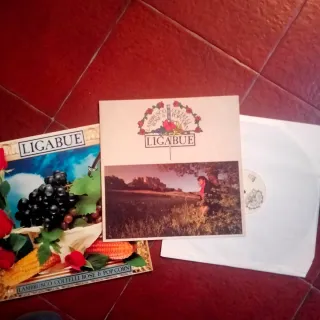 Vinile Ligabue Lambrusco coltelli rose & popcorn