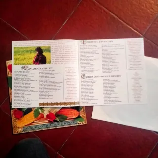 Vinile Ligabue Lambrusco coltelli rose & popcorn