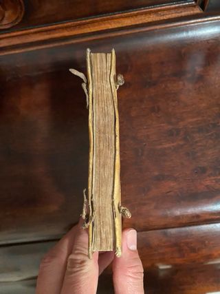 La Historia Santa, referida a los niños.