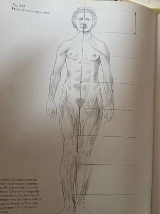Anatomia Del Cuerpo Humano : Para Artistan (Spa...