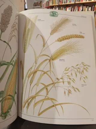 Guía práctica de la vida autosuficiente