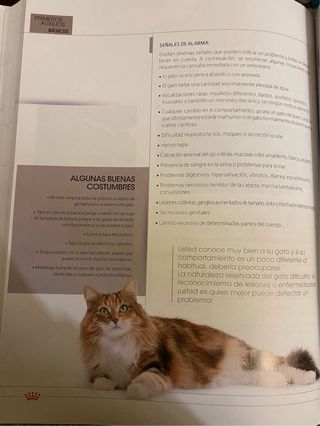Enciclopedia del gato