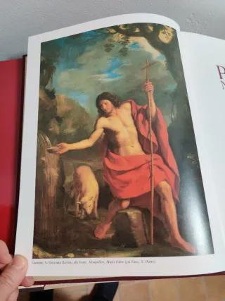 Pittura nelle marche volume 3