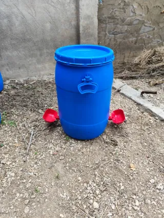 Bidones 60l bebderos para gallinas