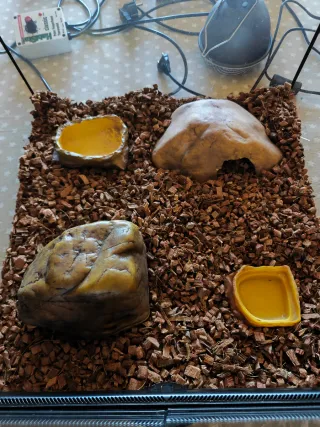 Cuevas y comederos Exoterra