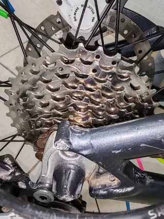 Bicicleta B-PRO Taglia 26