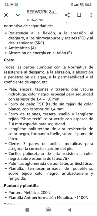 Zapatos de seguridad T-43.