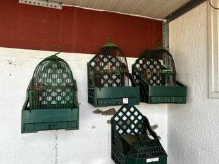 Casilleros de perdiz con jaulas