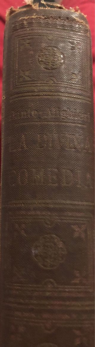 LA DIVINA COMEDIA / Notas de Paolo Costa