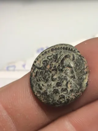 Moneda Romana Provincial Siria Antioquía