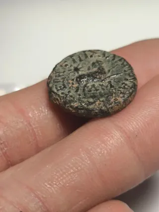 Moneda Romana Provincial Siria Antioquía