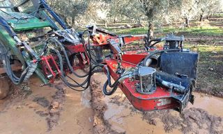 Vibrador Topavi 60 cms.