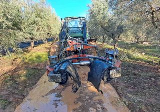 Vibrador Topavi 60 cms.