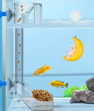 Comedero para peces acuario