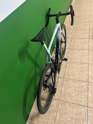 Giant TCR SL