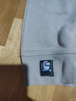 Sudadera Among Us Gris con Mangas Multicolor