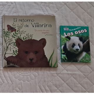 Lote de 10 libros infantiles