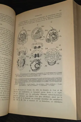 1928, Tratado Embriología - Libro antiguo Biologia
