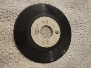 Sergio Endrigo - Una Casa Al Sole Vinile 45 Giri