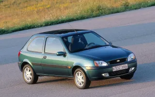 Red de maletero negra