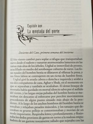 El señor de la destrucción Warhammer