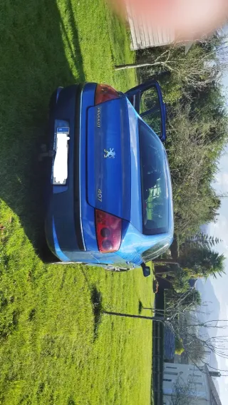 Peugeot 407 2006