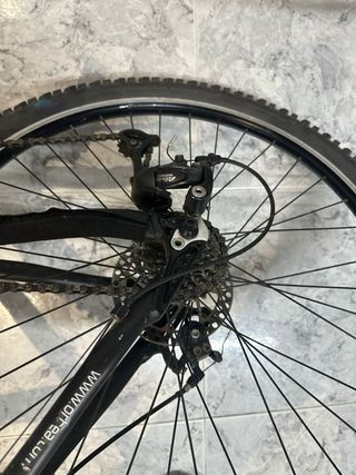 Bicicleta Orbea MTB Aluminio Revisada