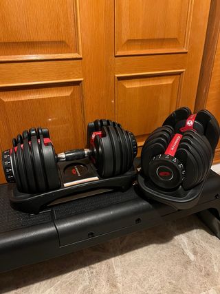 Mancuernas ajustables Bowflex 2-24 kg