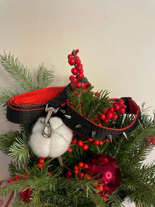 Collar y Correa Hechos a Mano