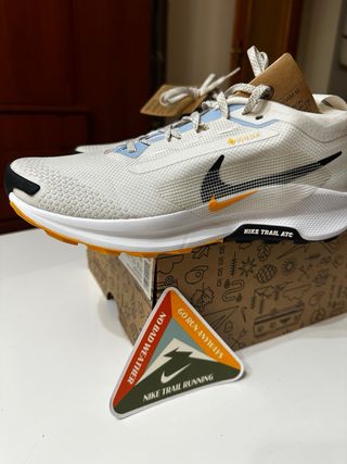 Nike Pegasus Trail 5 GTX