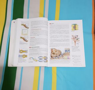 Biología, Geología y Ciencias Ambientales 1 Bac...