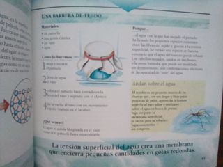 El gran libro de los experimentos