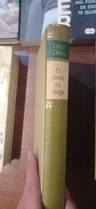 Novelas interesantes en español