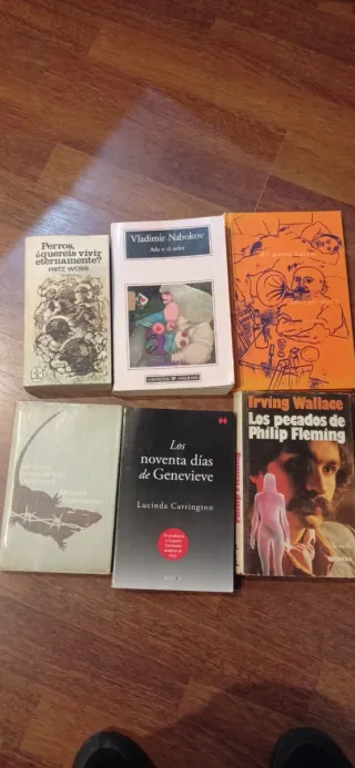 Novelas interesantes en español