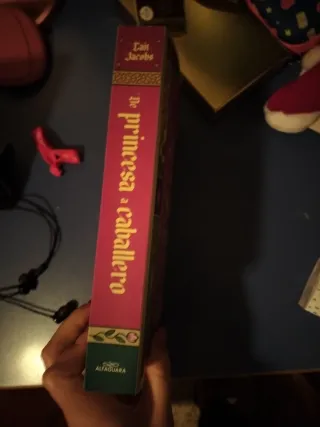 De princesa a caballero / The Princess Knight