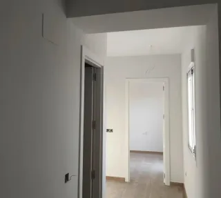 Pintora y decoración