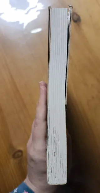 Entre el ángel y la bestia