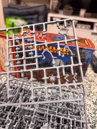 Warhammer Regimiento Guerreros Esqueleto