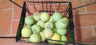 Cesta para pelotas de tenis + 42 bolas incluidas