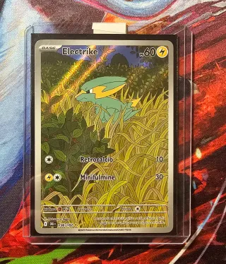 Electrike 196/182 dri it