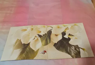 Jane - Between Heaven And Hell LP Vinilo 1977