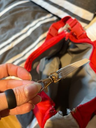 Bolso mochila para perros Agatha Ruiz de la Prada