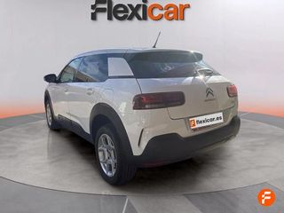 Citroën C4 Cactus BlueHDi 100 S&S Feel