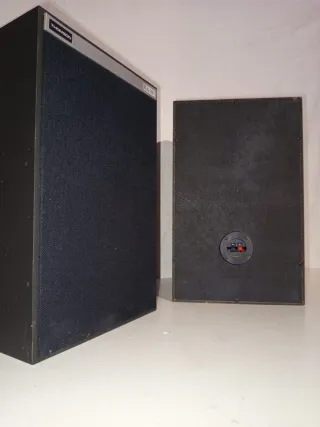 Altavoces Thomson RA100