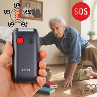 Teléfono Móvil Tapa 4G Negro/Plata