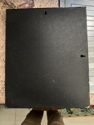 Coppia Quadri Floreali Oro e Multicolore