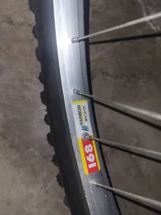 Bicicleta de Descenso